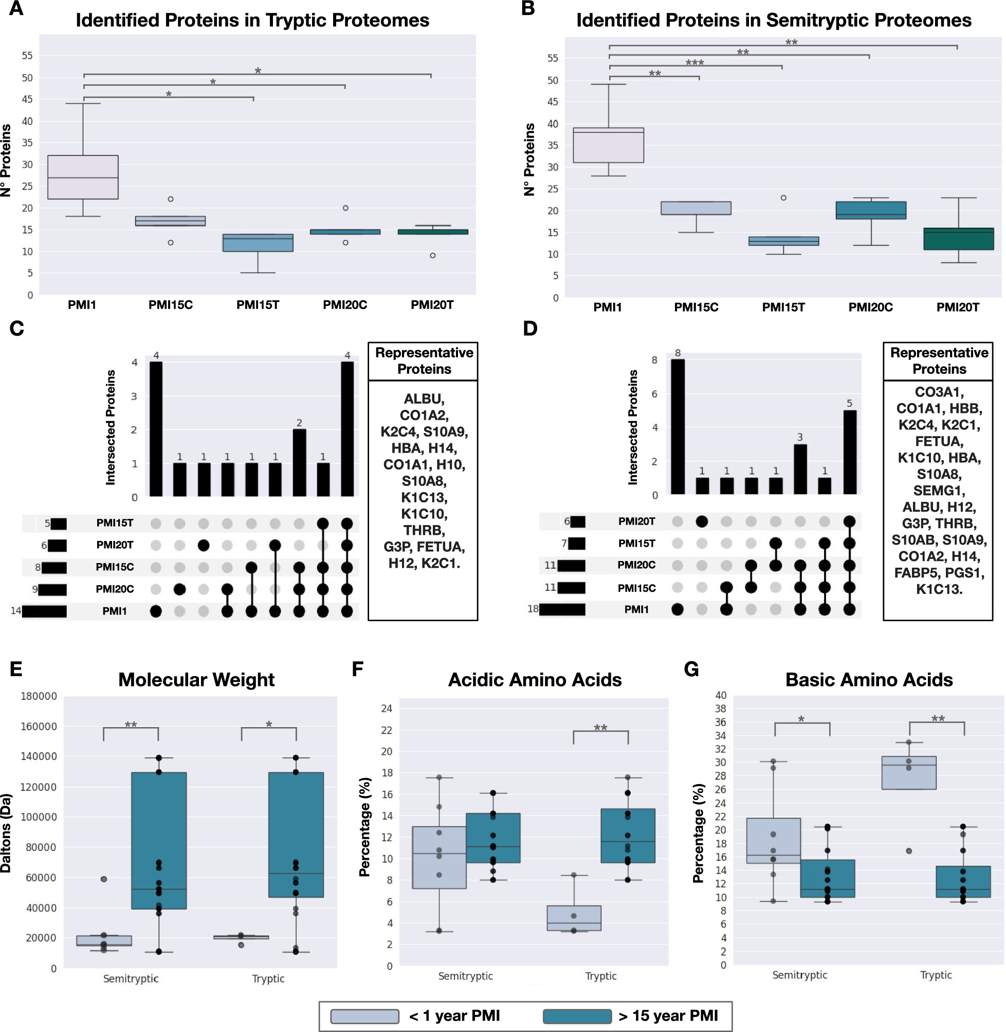 Enhancing late postmortem interval prediction: a pilot study integrating proteomics and machine learning to distinguish human bone remains over 15 years