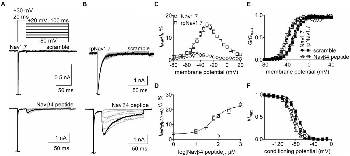 Molecular determinants of resurgent sodium currents mediated by Navβ4 peptide and A-type FHFs