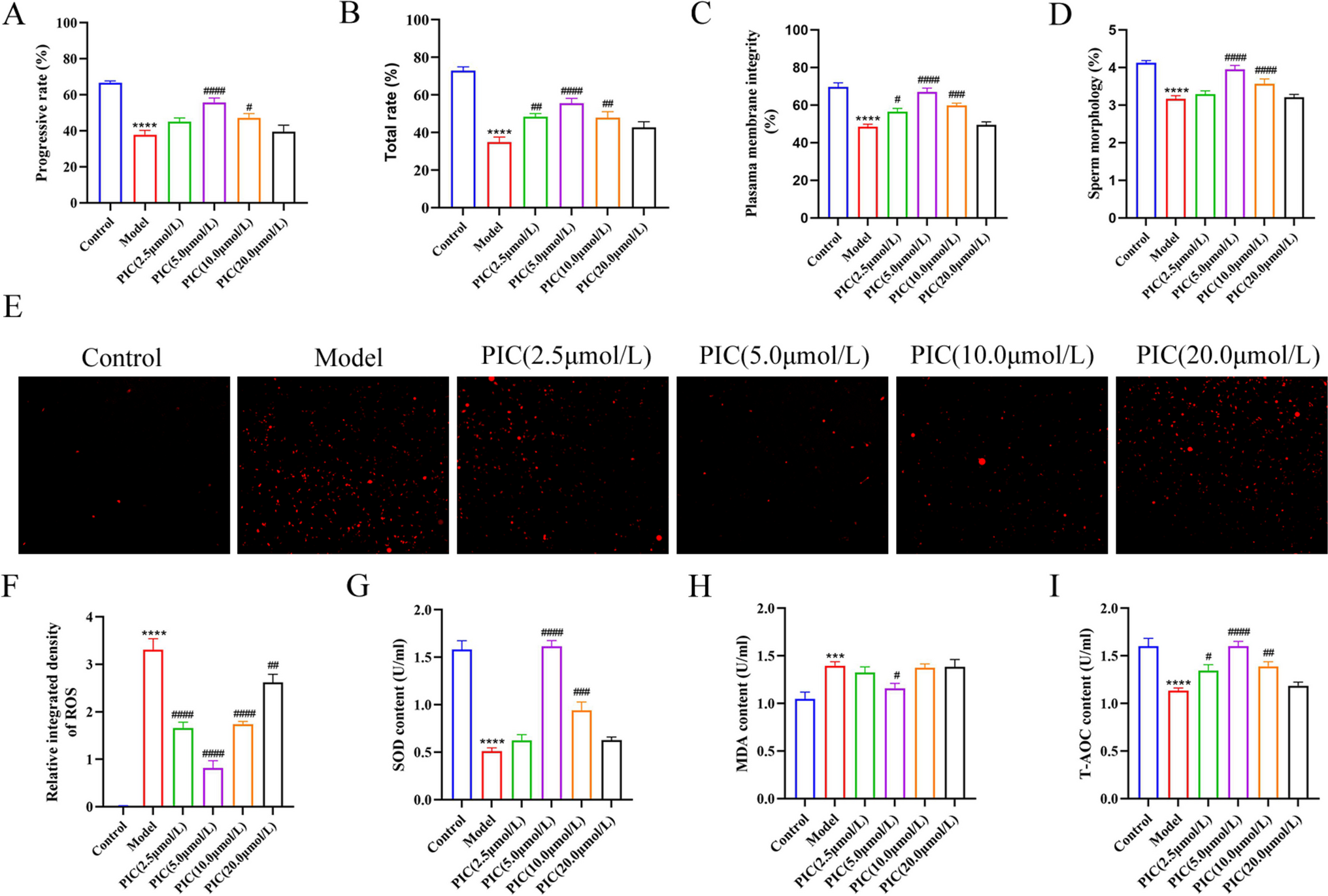 Piceatannol Protects Sperm from Cryopreservation Damage by Modulating the Keap1-Nrf2/ARE Signaling Pathway