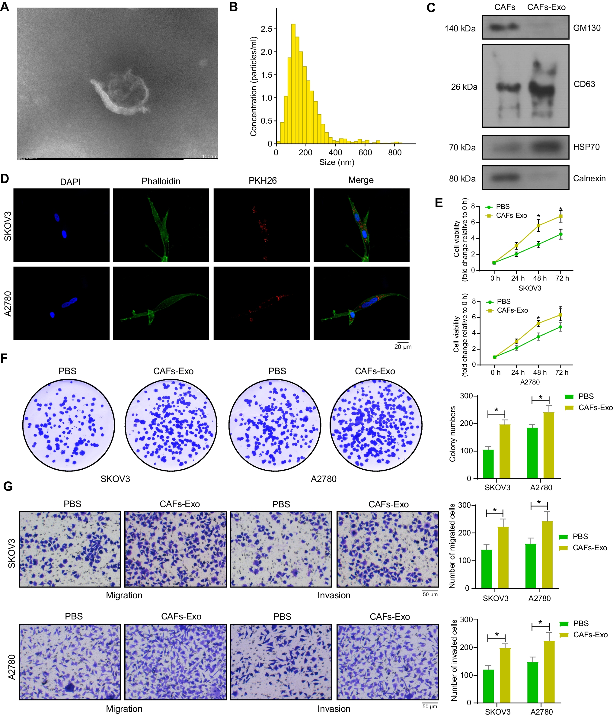 Cancer-associated Fibroblasts-derived Exosomes with HOXD11 Overexpression Promote Ovarian Cancer Cell Angiogenesis Via FN1