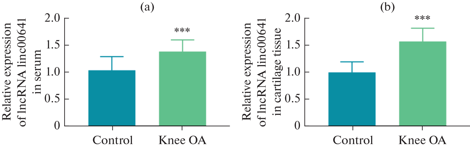 LncRNA linc00641 Inhibits the Proliferation and Differentiation of Chondrocytes and Aggravates Joint Injury by Targeting miR-320a