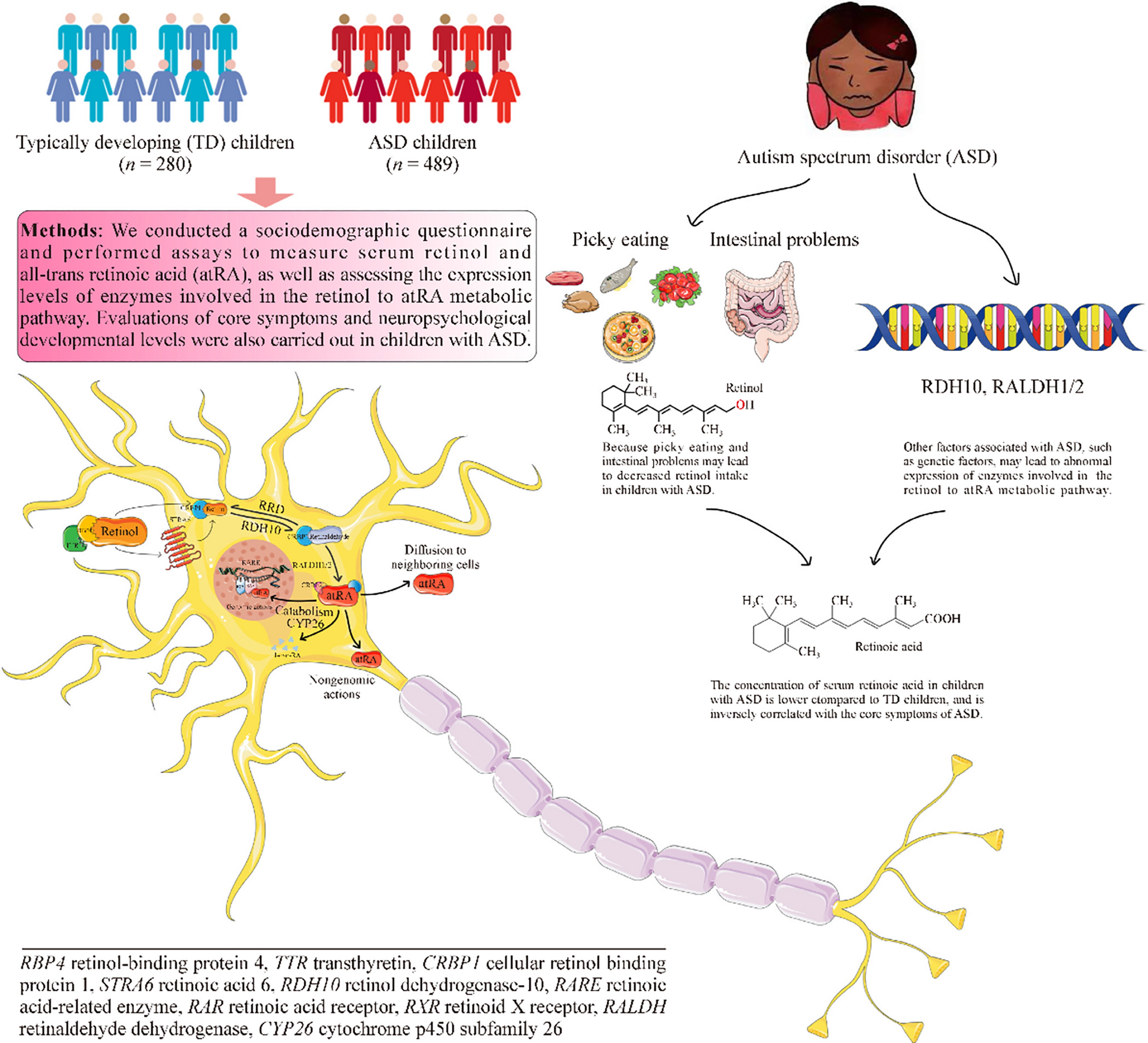 Association of the retinol to all-trans retinoic acid pathway with autism spectrum disorder