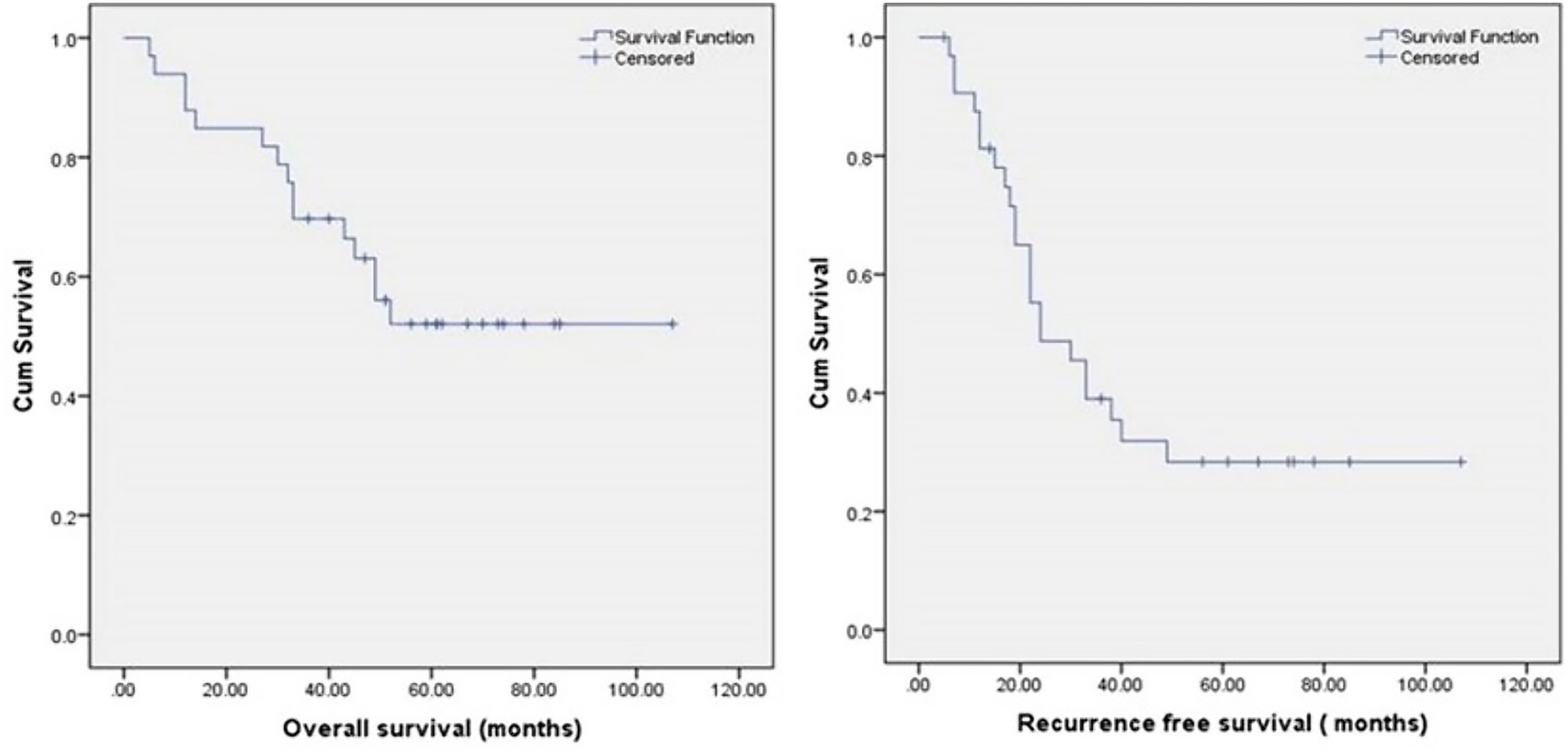 Role of Laparoscopy in Surgical Treatment of Ovarian Malignancies: A Review