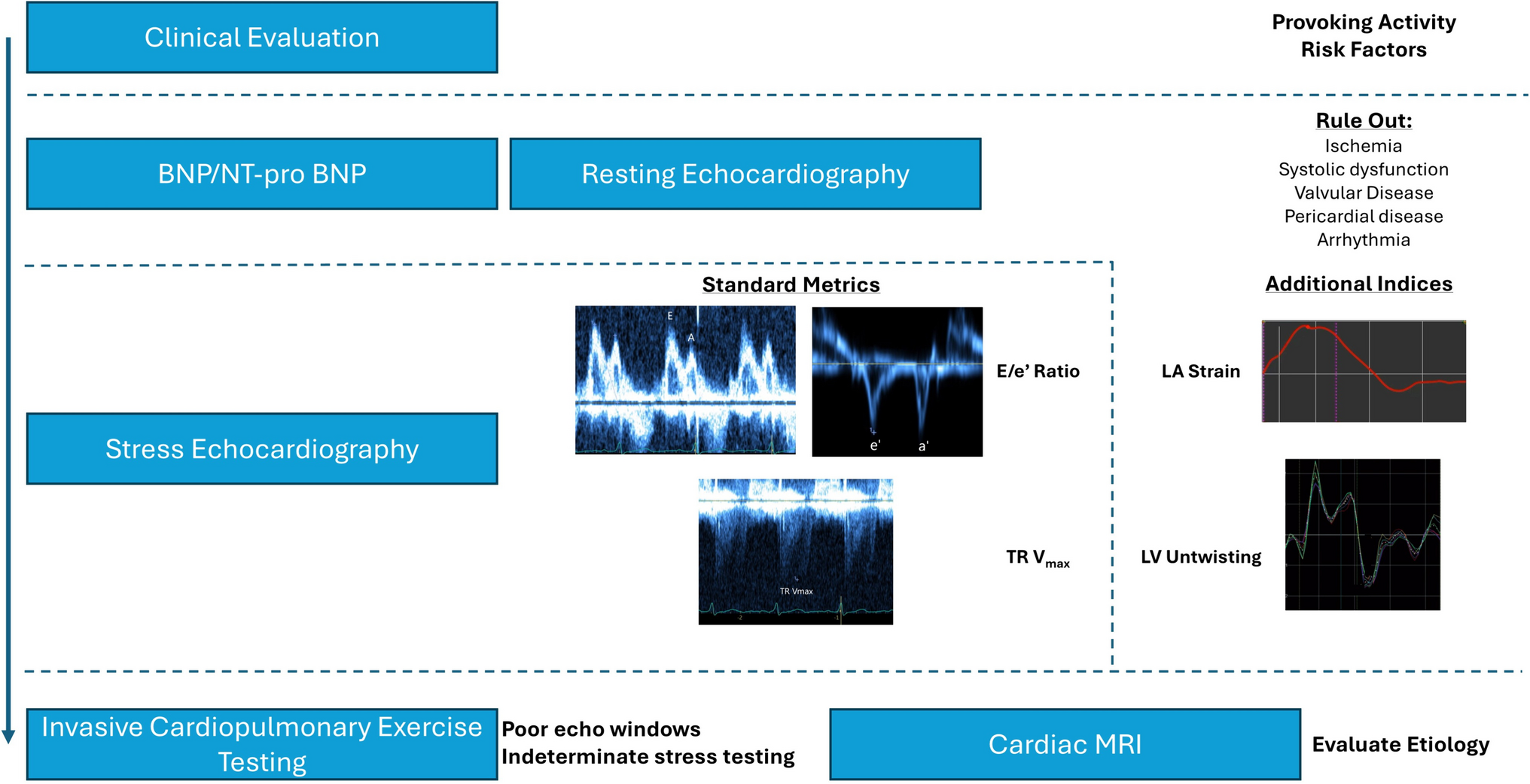 Stress Echocardiography for Assessment of Diastolic Function