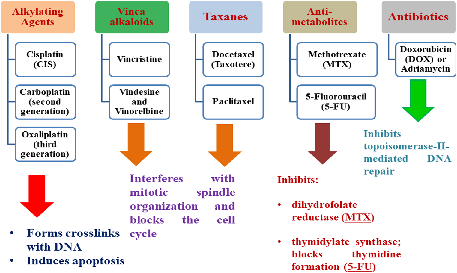 Neurotoxicity of the antineoplastic drugs: “Doxorubicin” as an example