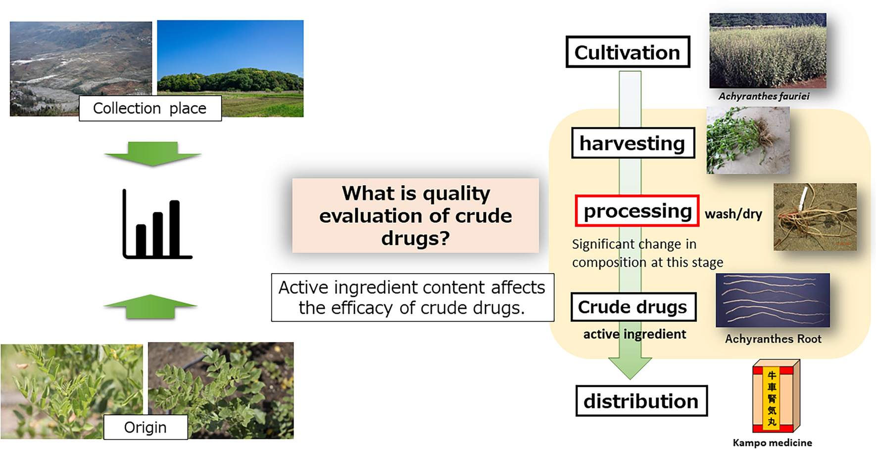 Research on the quality evaluation of crude drugs