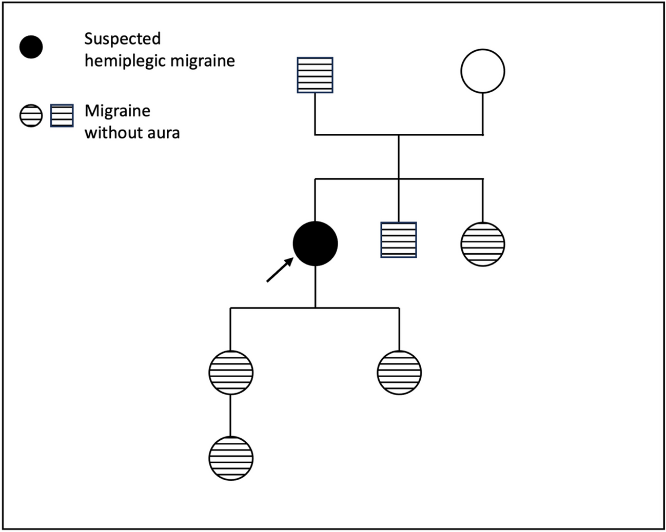 Sporadic hemiplegic migraine with novel missense mutation in the SCN1A gene and positive response to anti-CGRP antibody: a case report