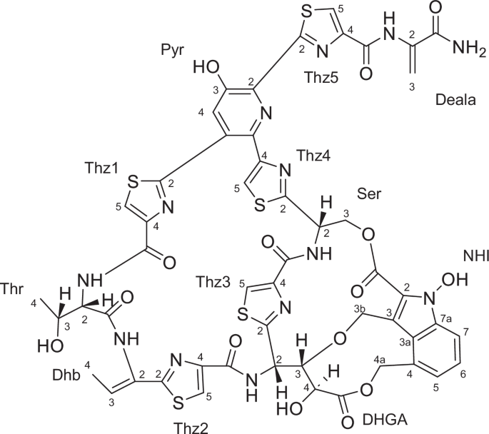 Thiazoplanomicin, a new thiazolyl peptide antibiotic from the leaf-litter actinomycete Actinoplanes sp. MM794L-181F6