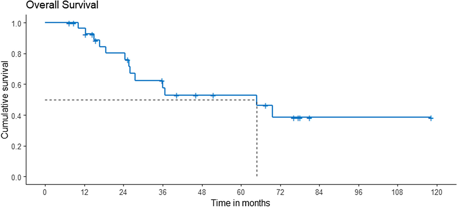 Surgically Treated Clear Cell Sarcomas — What Influences Outcomes?