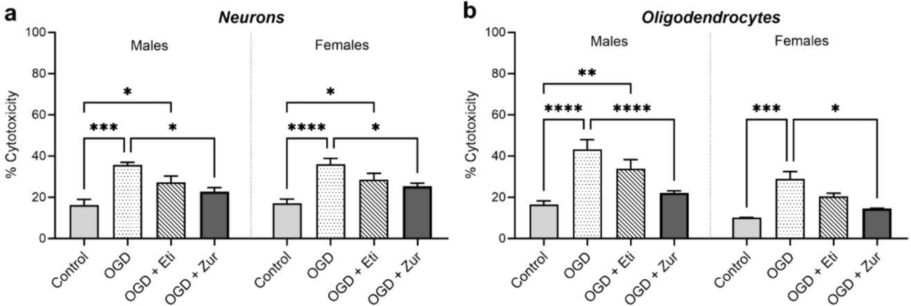 Protection from oxygen–glucose deprivation by neurosteroid treatment in primary neurons and oligodendrocytes
