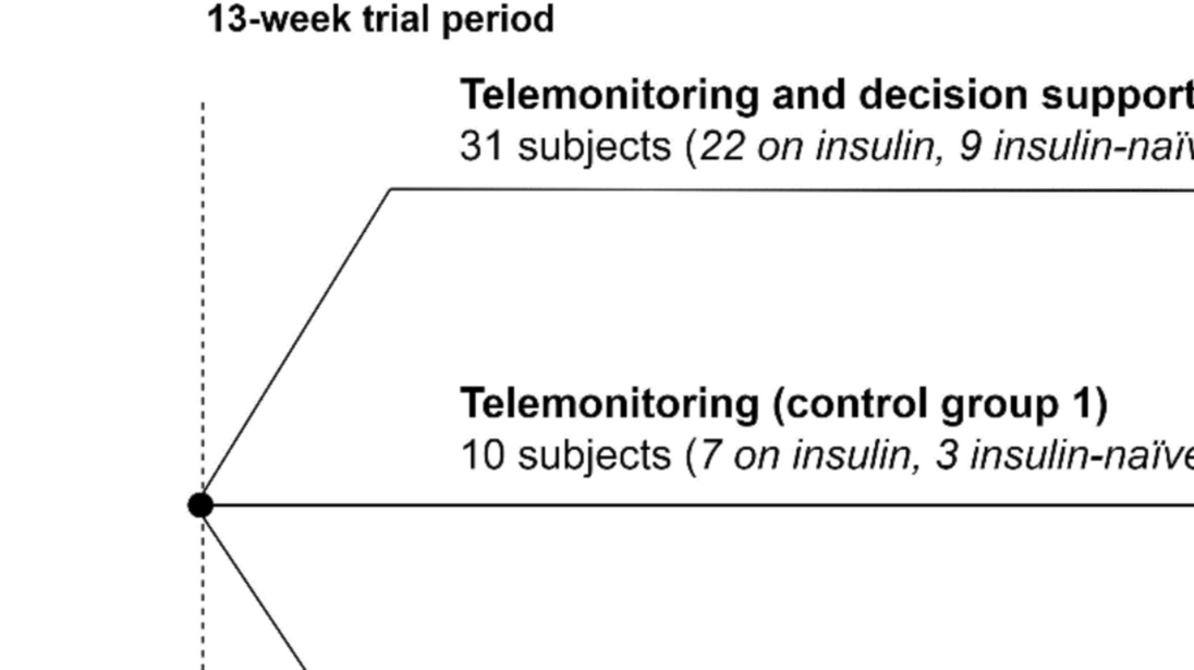 The intelligent diabetes telemonitoring using decision support to treat patients on insulin therapy (DiaTRUST) trial: study protocol for a randomized controlled trial