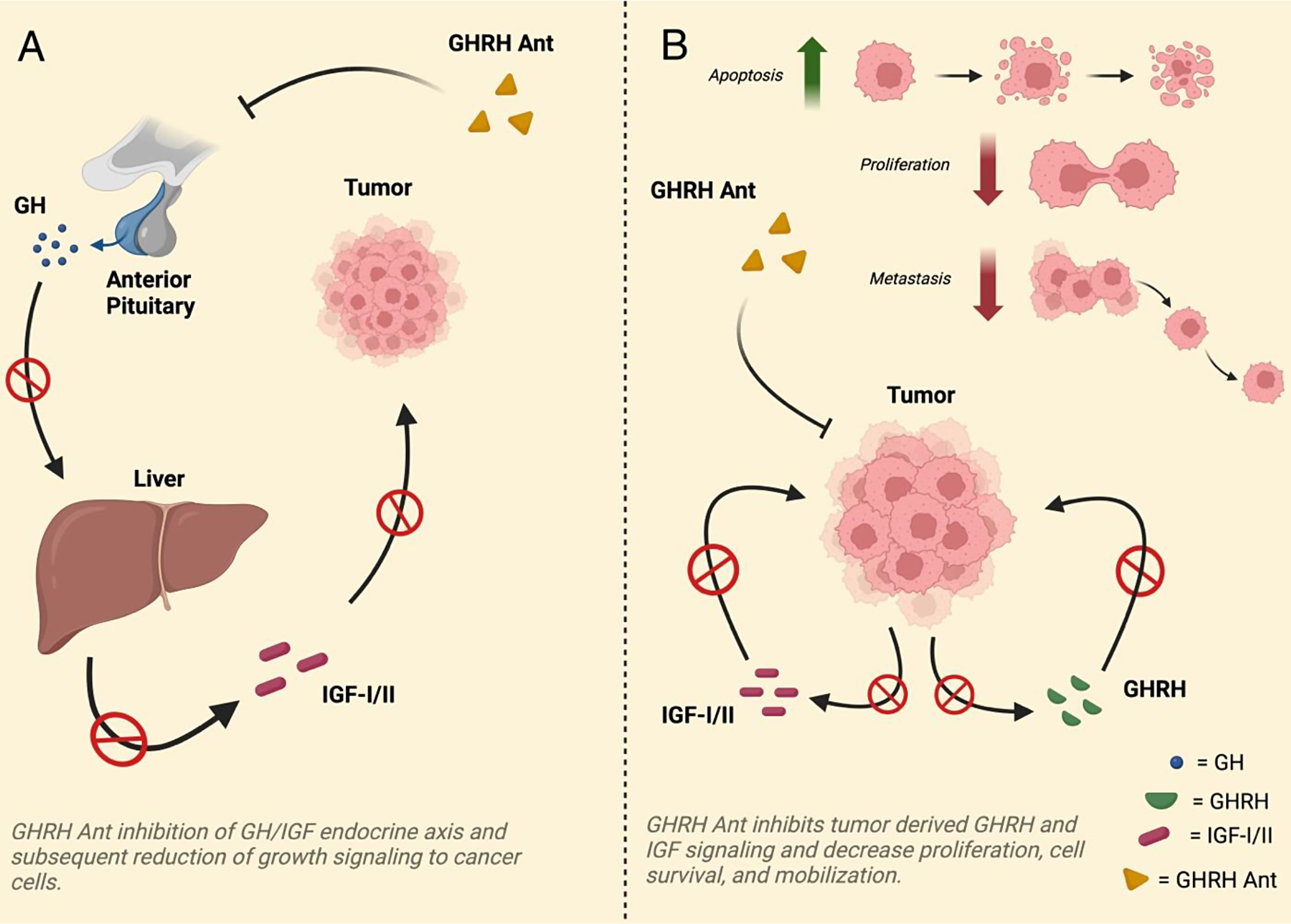 A novel approach for the treatment of AML, through GHRH antagonism: MIA-602