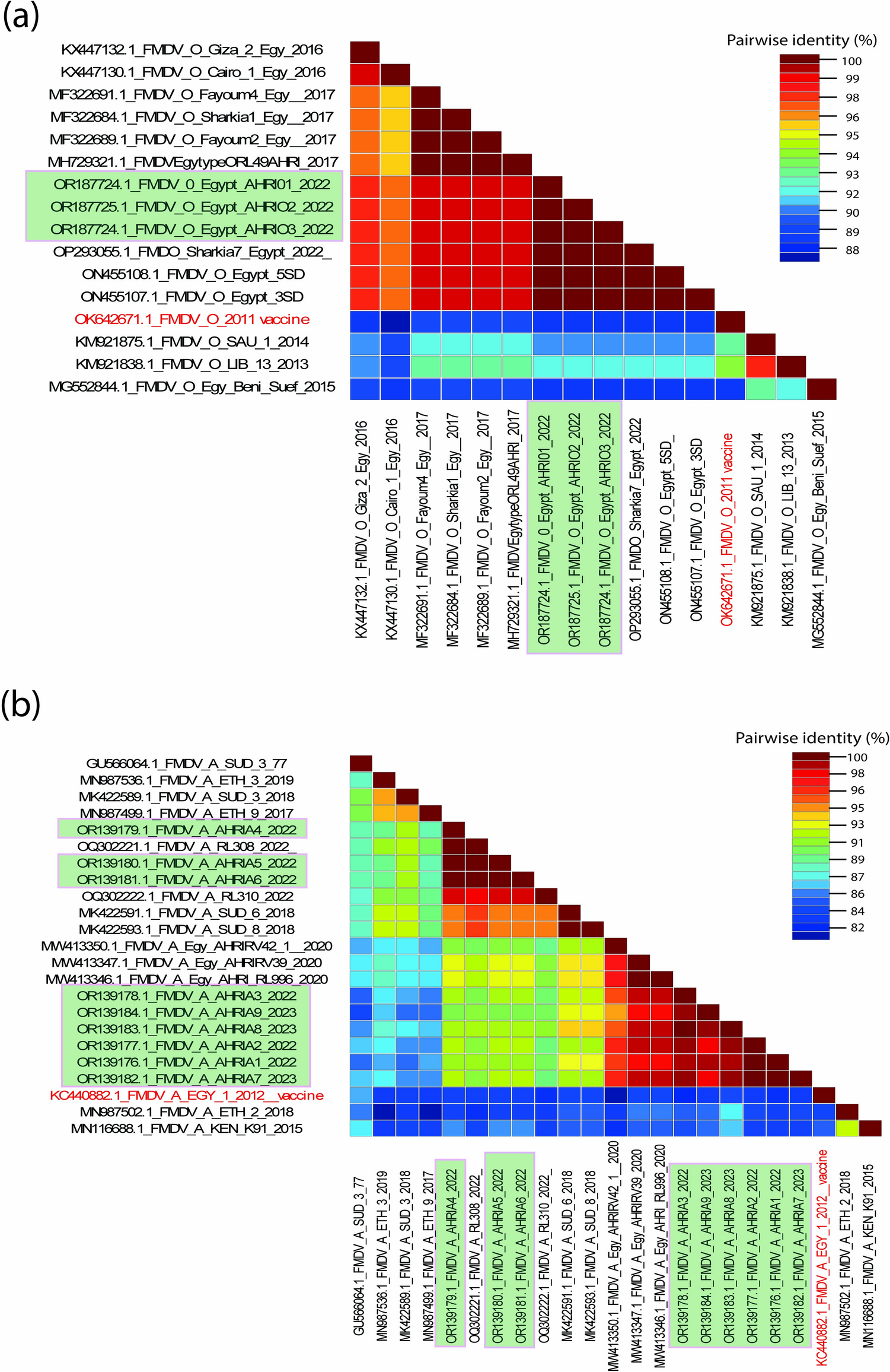 Epidemiological and Genetic Insights of the Circulating Foot-and-Mouth Disease Virus Serotypes in Egypt