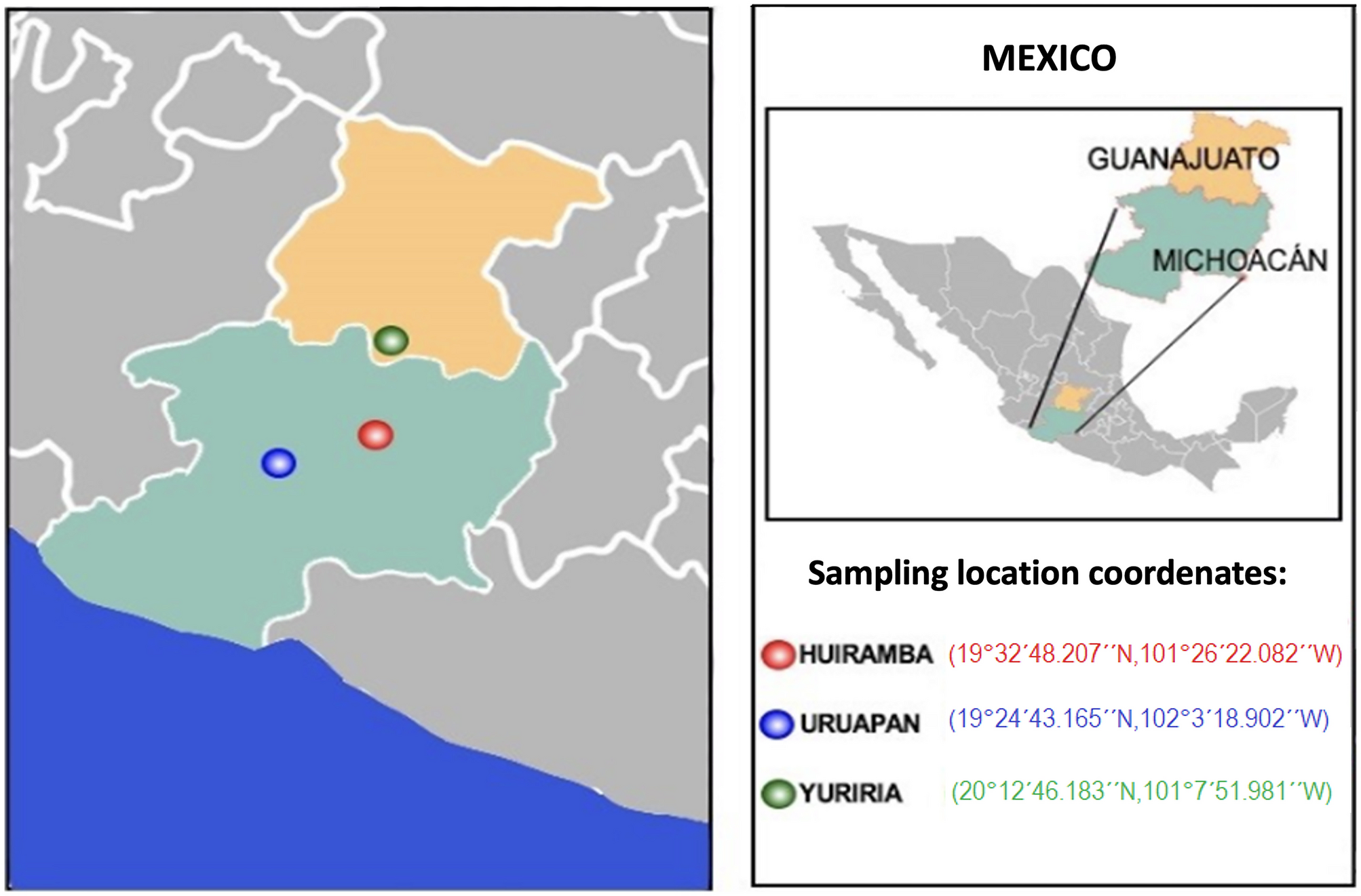 Rhizobacterial community and growth-promotion trait characteristics of Zea mays L. inoculated with Pseudomonas fluorescens UM270 in three different soils