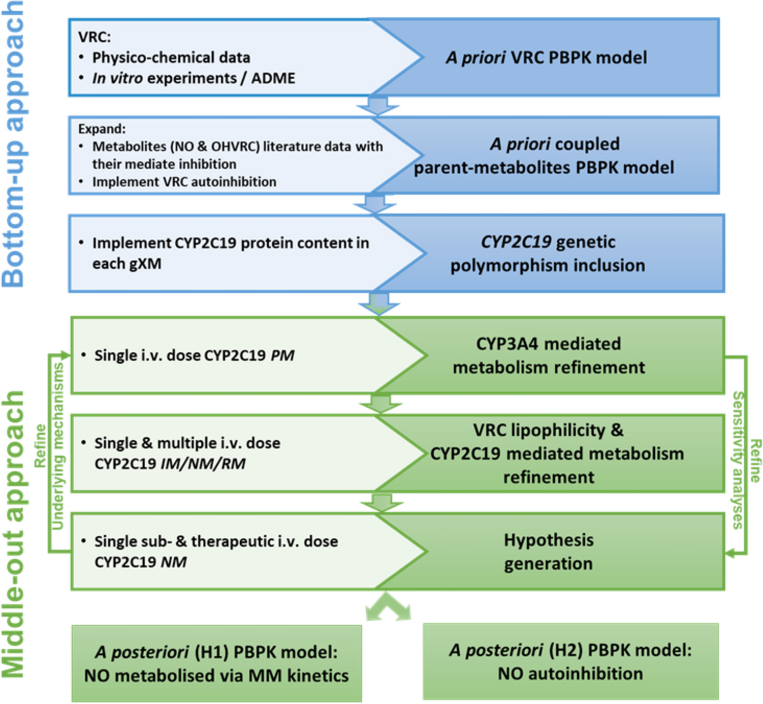 Understanding Voriconazole Metabolism: A Middle-Out Physiologically-Based Pharmacokinetic Modelling Framework Integrating In Vitro and Clinical Insights