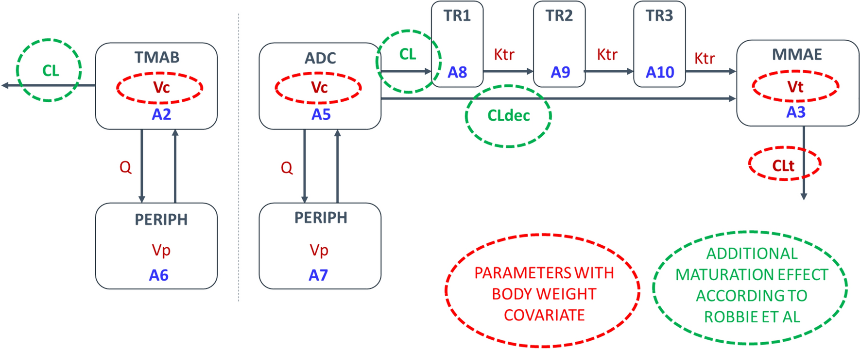 A Sequential Population Pharmacokinetic Model of Zilovertamab Vedotin in Patients with Hematologic Malignancies Extrapolated to the Pediatric Population