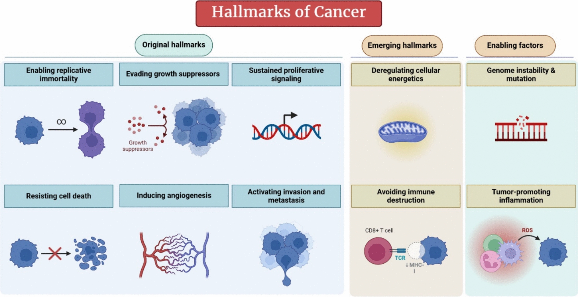 Mitoepigenetics pathways and natural compounds: a dual approach to combatting hepatocellular carcinoma