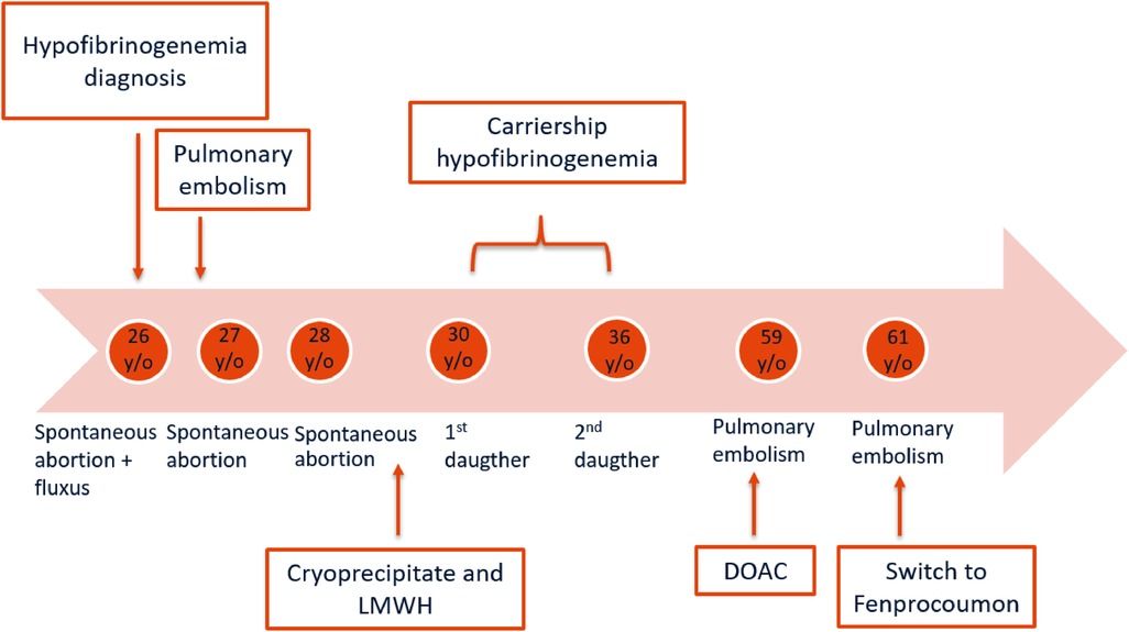 Case Report: Laboratory detection of a thrombotic tendency in a family with hypodysfibrinogenemia and a novel FGG mutation