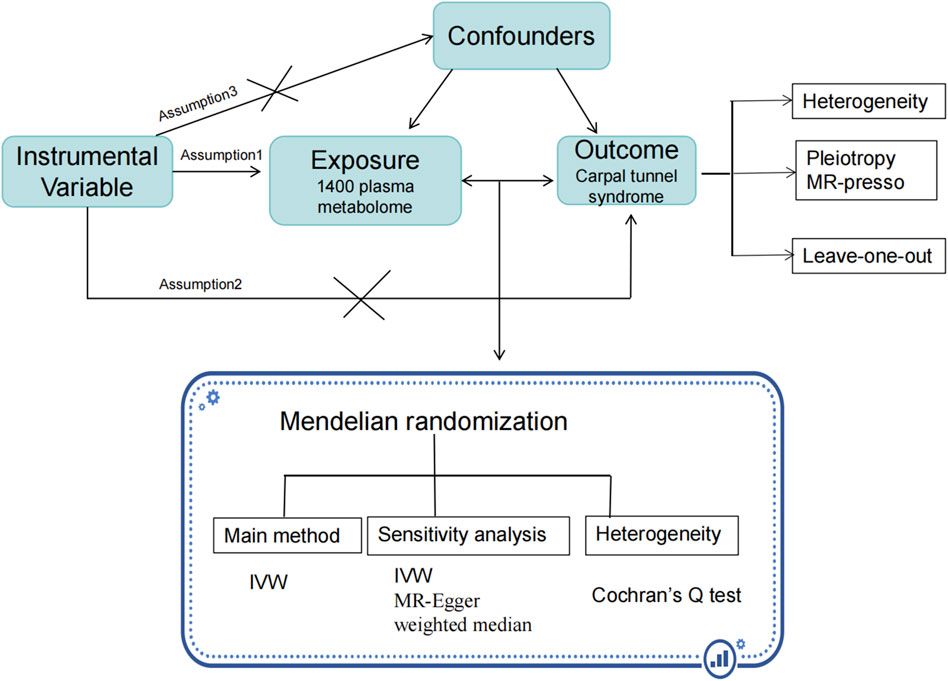 Causal relationship between plasma metabolites and carpal tunnel syndrome risk: evidence from a mendelian randomization study