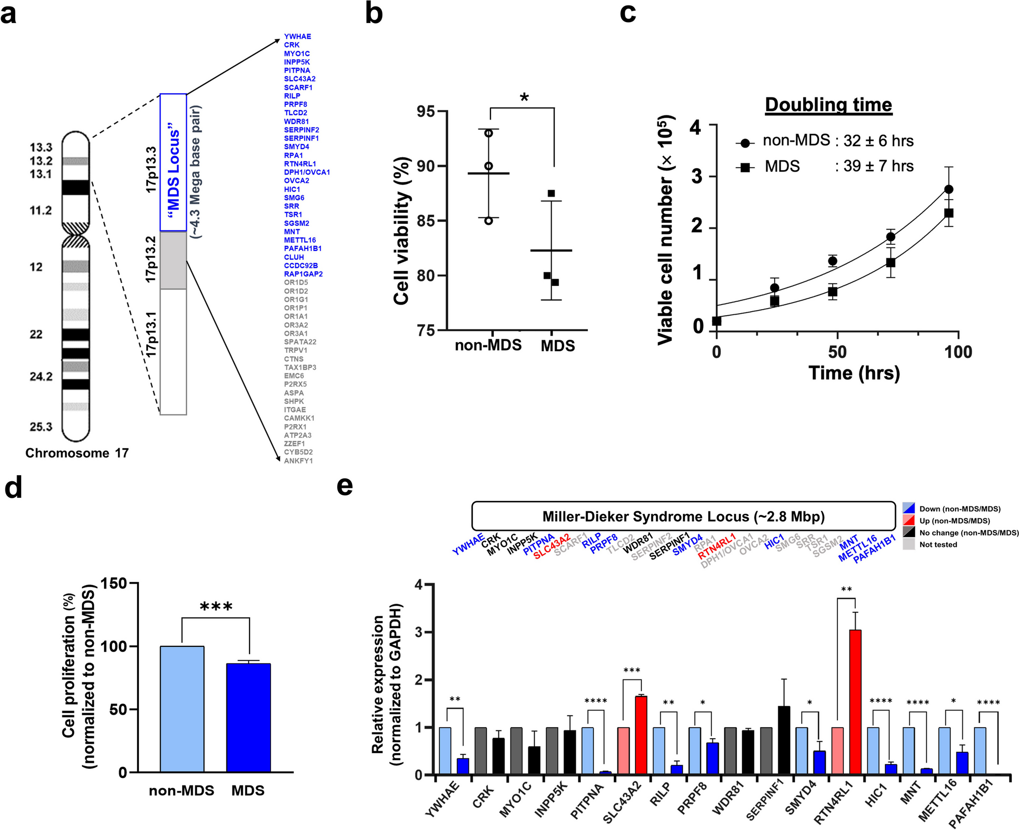 Multi-Omics Approach Reveals Genes and Pathways Affected in Miller-Dieker Syndrome