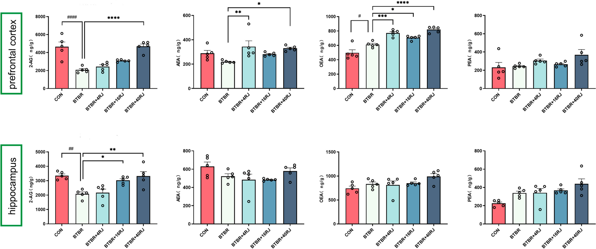 Augmentation of Endogenous 2-Arachidonoylglycerol Mitigates Autistic Behaviors of BTBR Mice