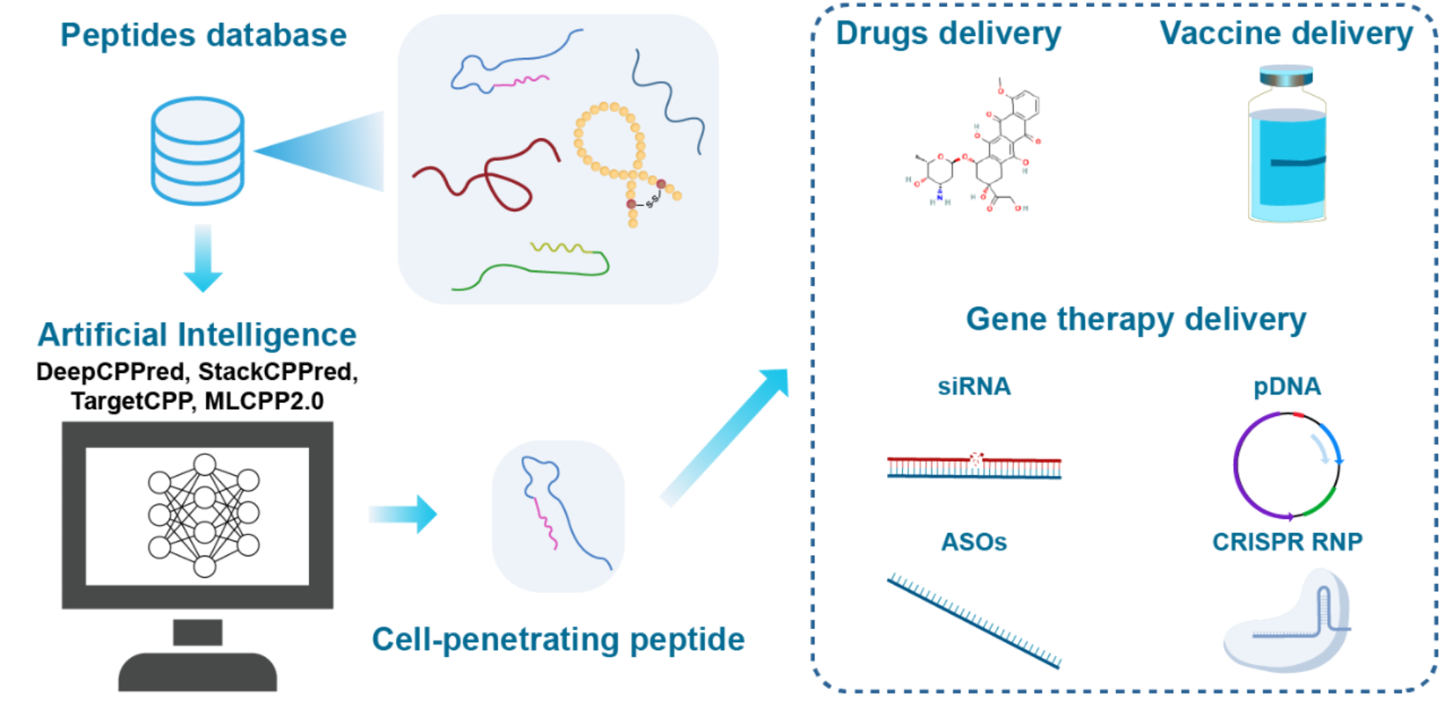 AI-Driven Design of Cell-Penetrating Peptides for Therapeutic Biotechnology