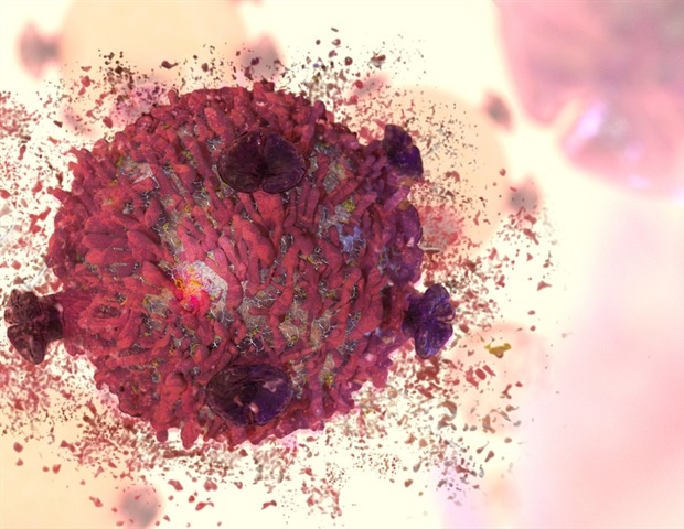 Researchers discover mechanism affecting splicing process in retinal cells