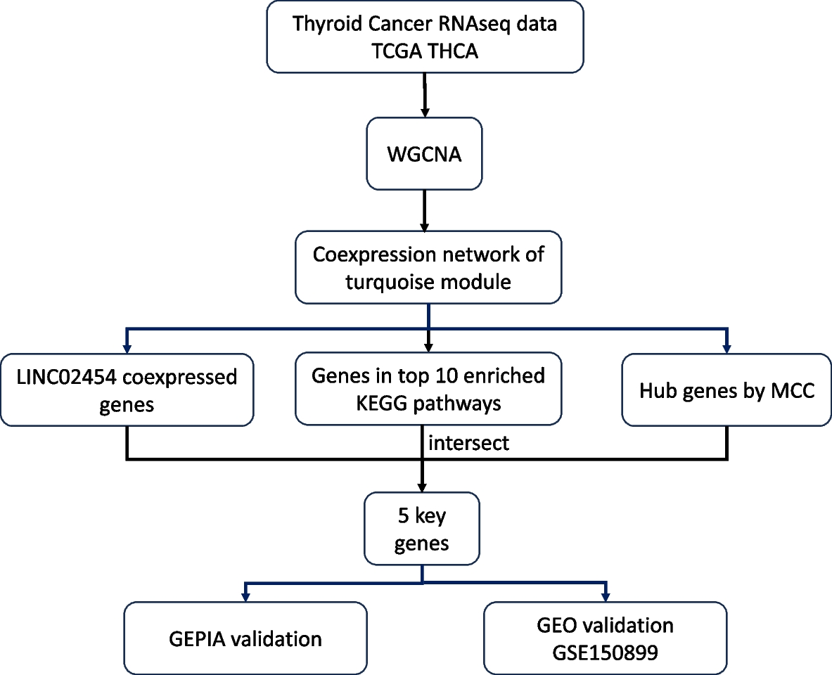 Identification of LINC02454-related key pathways and genes in papillary thyroid cancer by weighted gene coexpression network analysis (WGCNA)