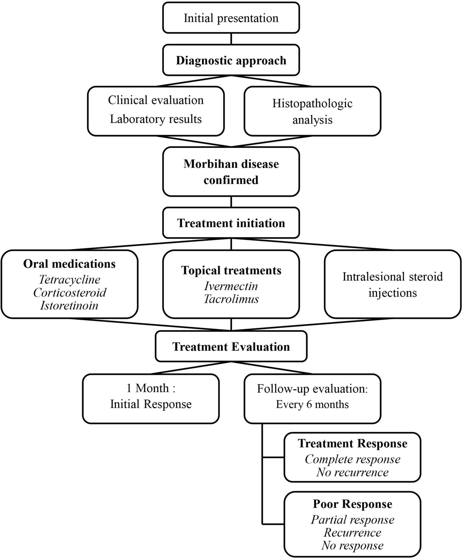 Novel prognostic factors and combination therapy outcomes in Morbihan disease: insights from an Asian population