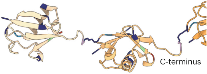 Ubiquitin is a chemist’s playground