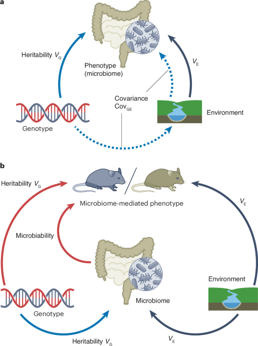 Estimates of microbiome heritability across hosts
