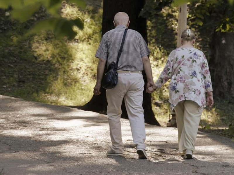 A Mindfulness-Based Lifestyle Intervention for Dementia Risk Reduction: Protocol for the My Healthy Brain Feasibility Randomized Controlled Trial