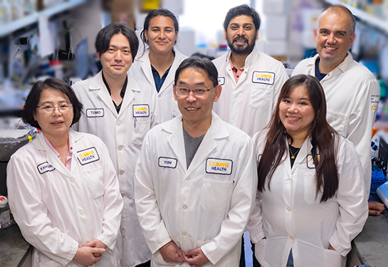 How understanding the secrets of herpesviruses helps fight cancer