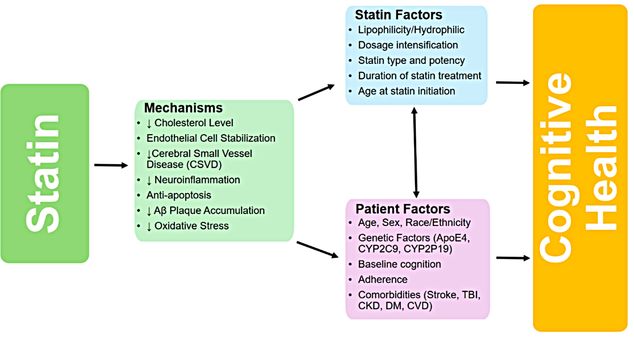 Do Statins Affect Cognitive Health? A Narrative Review and Critical Analysis of the Evidence