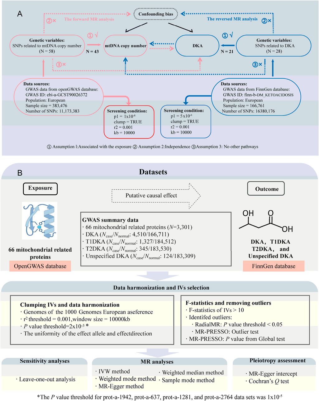 Mitochondrial proteins as therapeutic targets in diabetic ketoacidosis: evidence from Mendelian randomization analysis