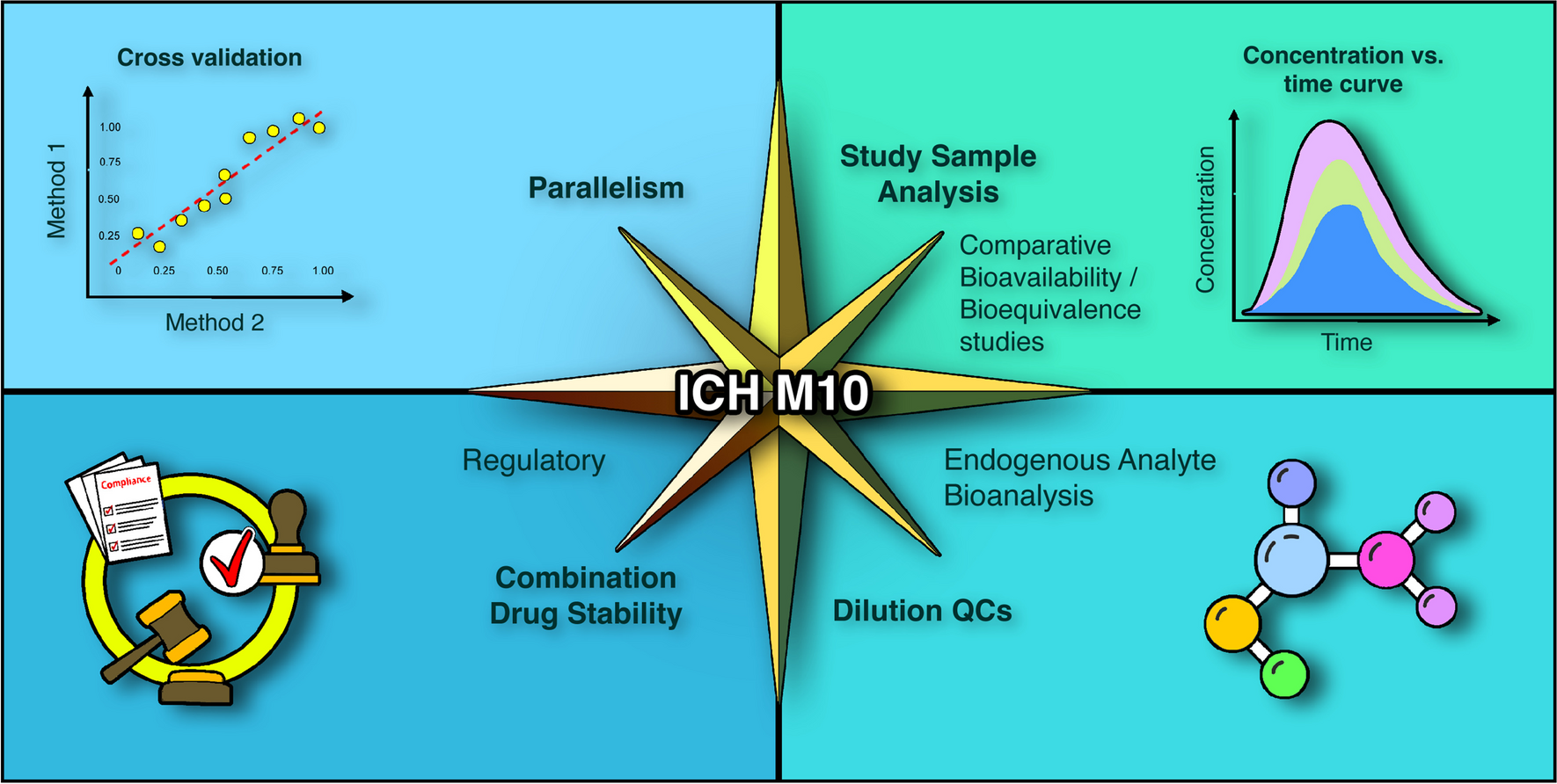 ICH M10 Bioanalytical Method Validation Guideline-1 year Later