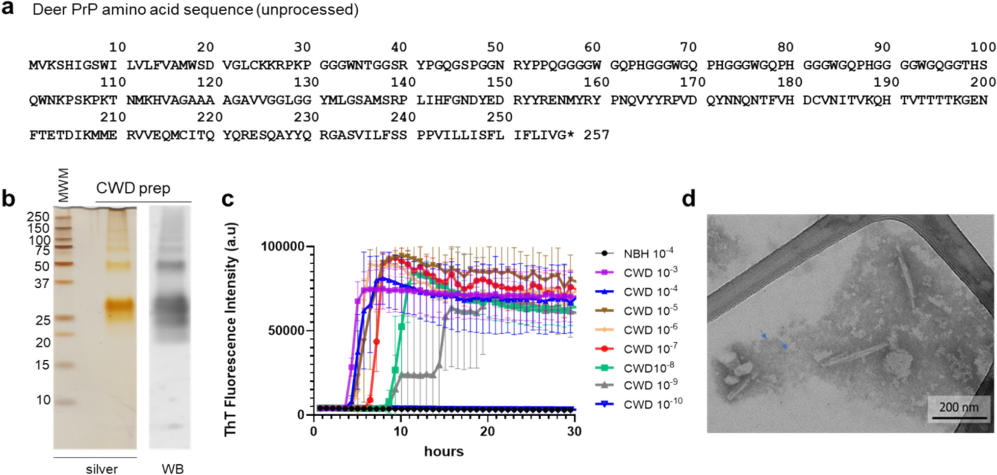 Cryo-EM structure of a natural prion: chronic wasting disease fibrils from deer