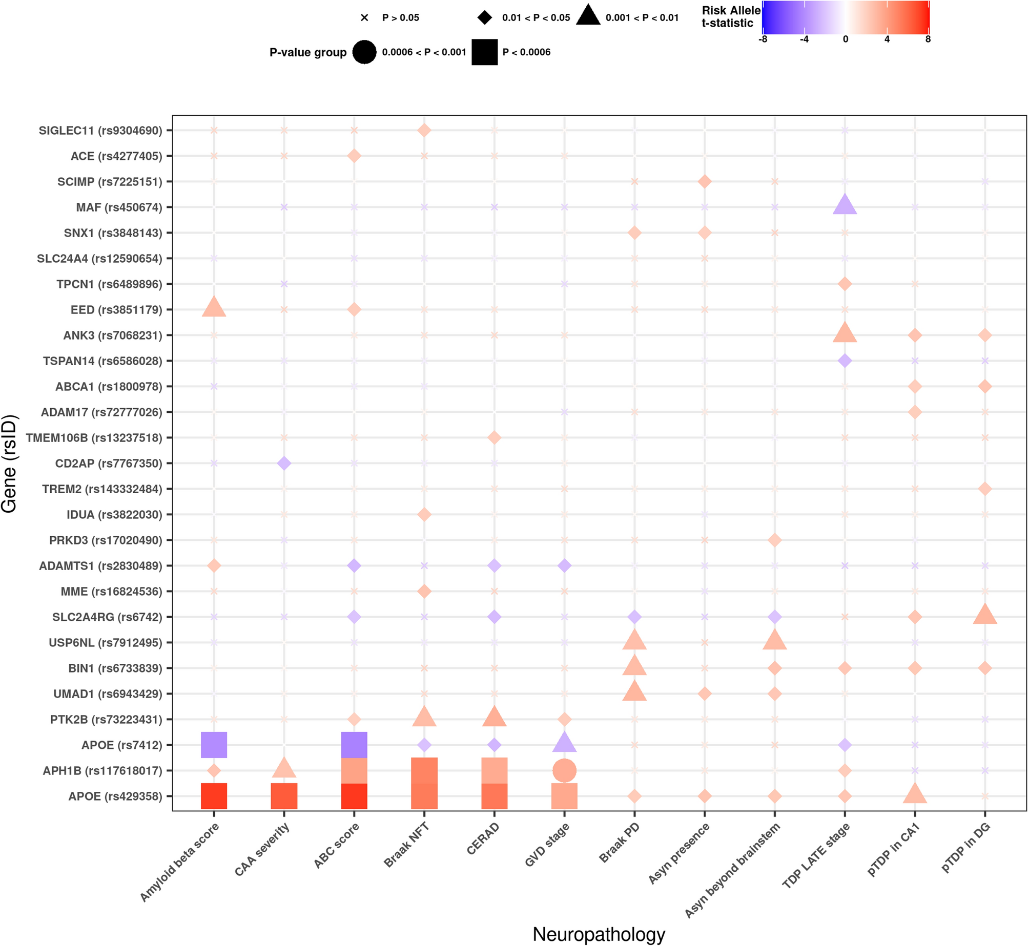 Hypothesis-based investigation of known AD risk variants reveals the genetic underpinnings of neuropathological lesions observed in Alzheimer’s-type dementia