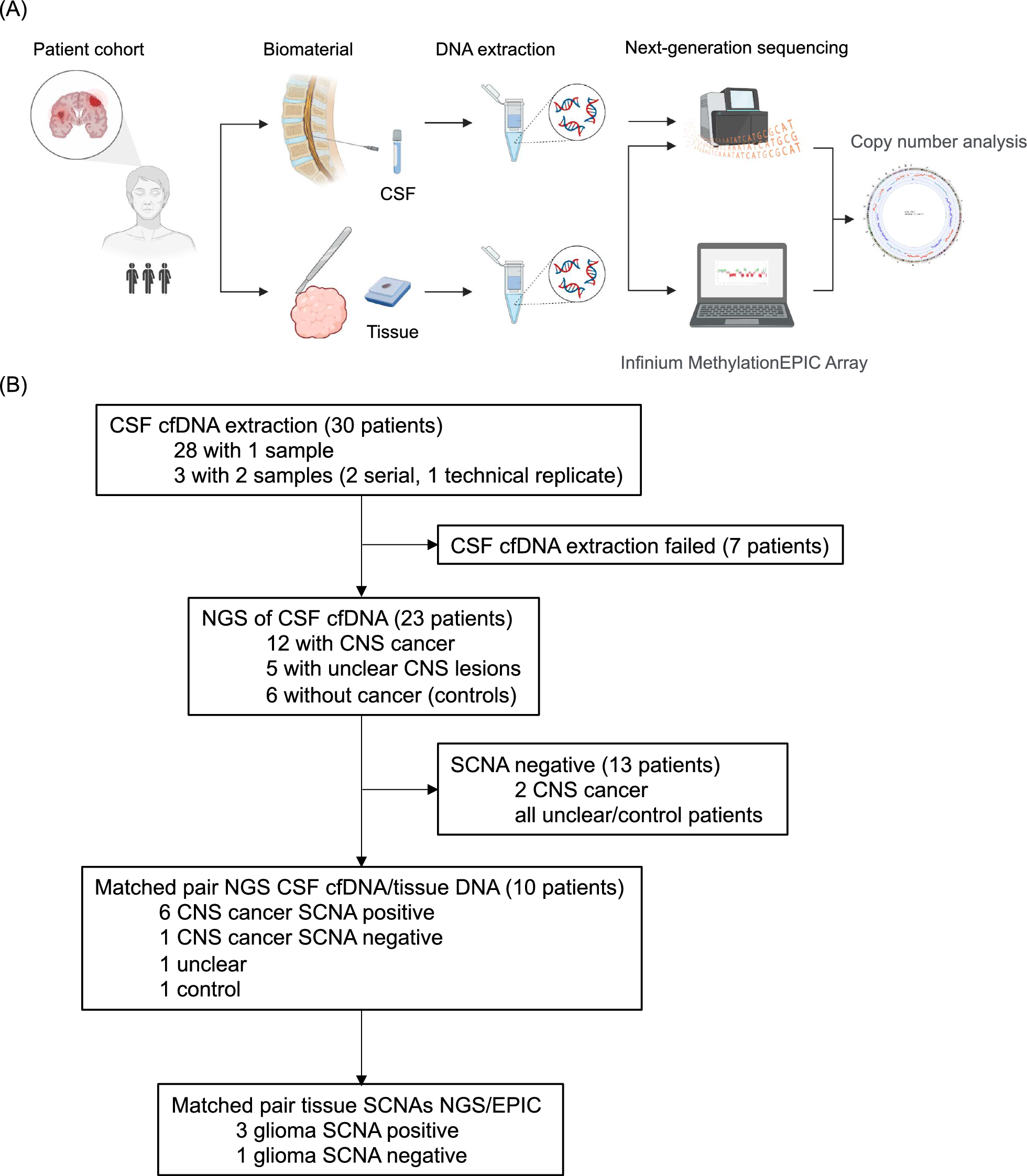 Detection of diagnostic somatic copy number alterations from cerebrospinal fluid cell-free DNA in brain tumor patients