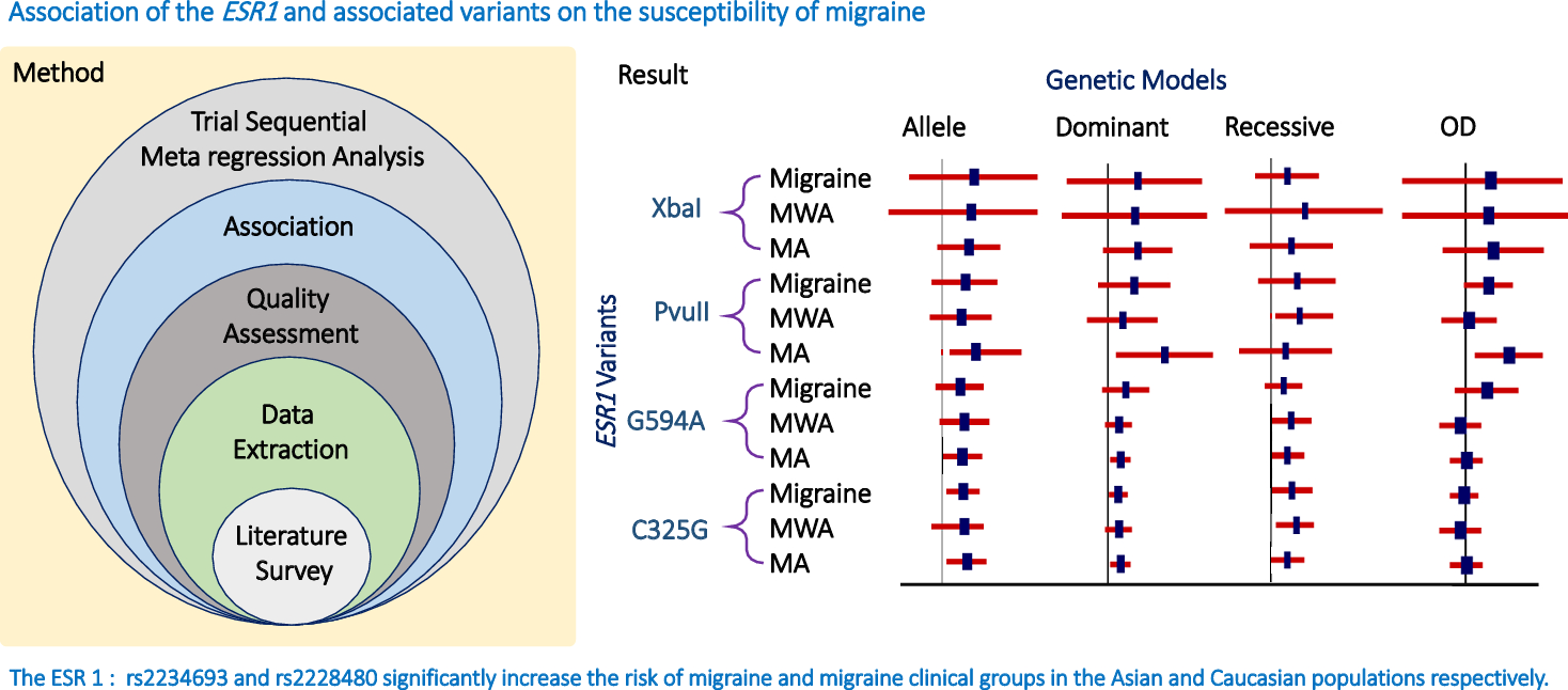 Polymorphisms of Estrogen receptor alpha (ESR1) rs9340799, rs2234693, rs1801132, and rs2228480 and their association with migraine risk: a meta-analysis with meta-regression and trial sequential analysis