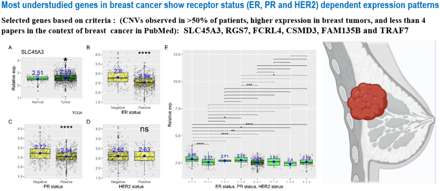 Expression of understudied genes with copy number gains in breast cancer: dependence on ER, PR, and HER2 status