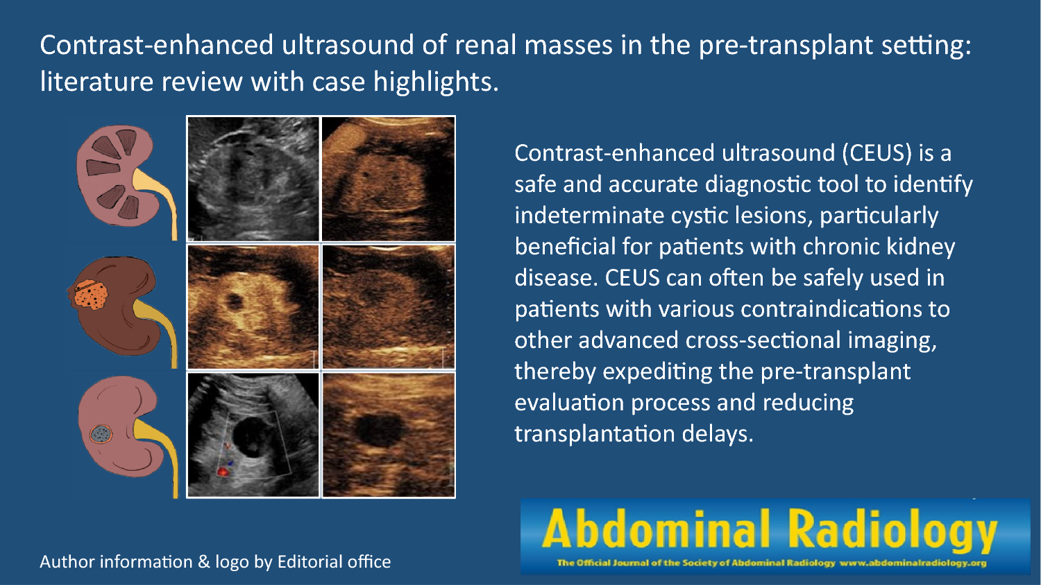 Contrast-enhanced ultrasound of renal masses in the pre-transplant setting: literature review with case highlights