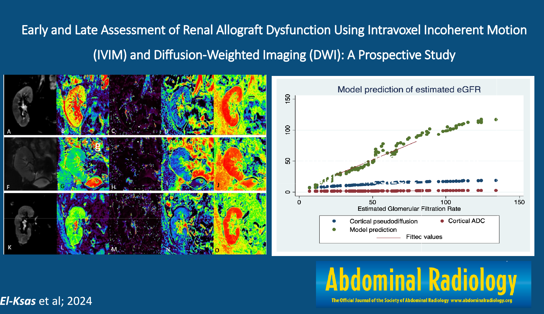 Early and late assessment of renal allograft dysfunction using intravoxel incoherent motion (IVIM) and diffusion-weighted imaging (DWI): a prospective study