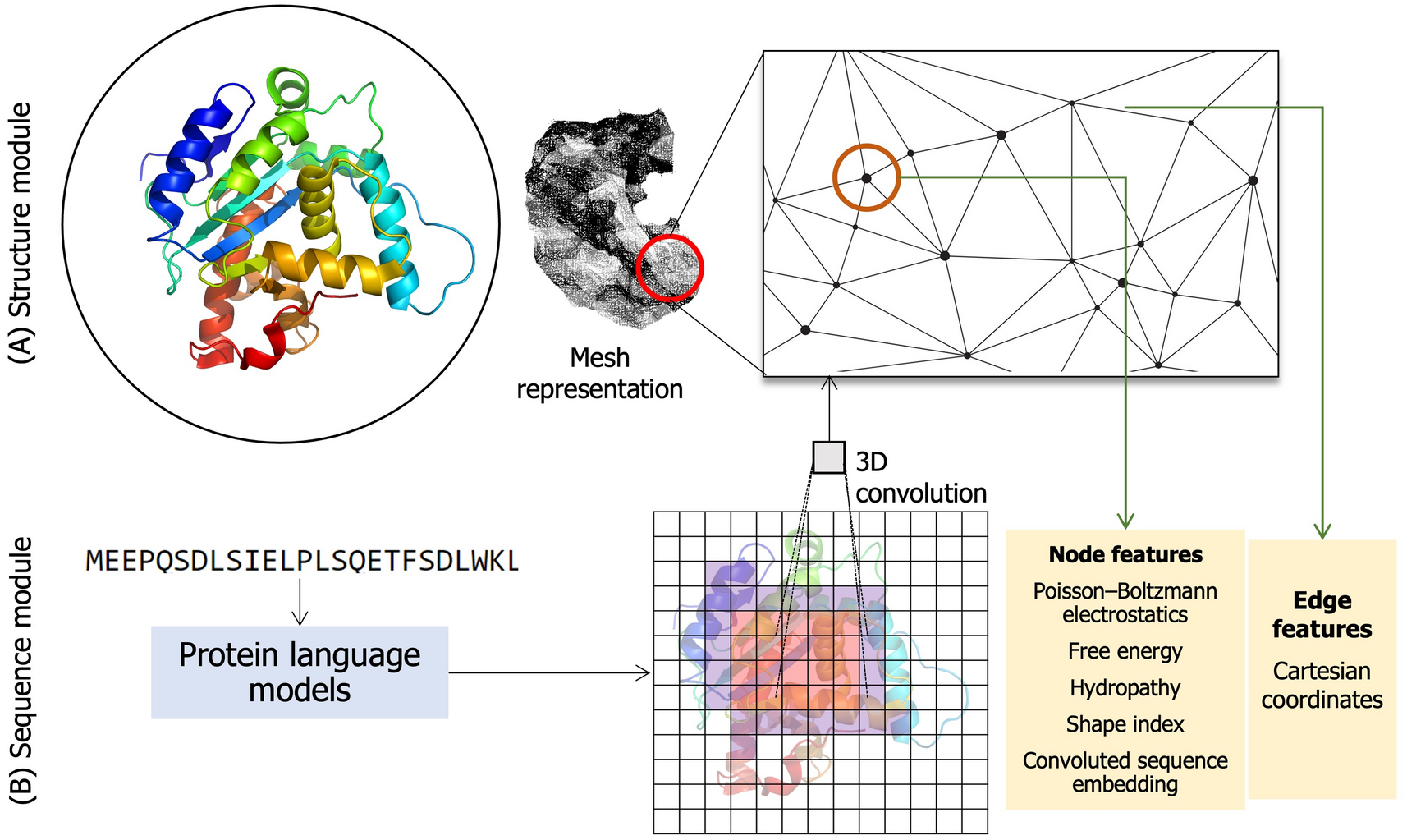 Estimating protein–ligand interactions with geometric deep learning and mixture density models