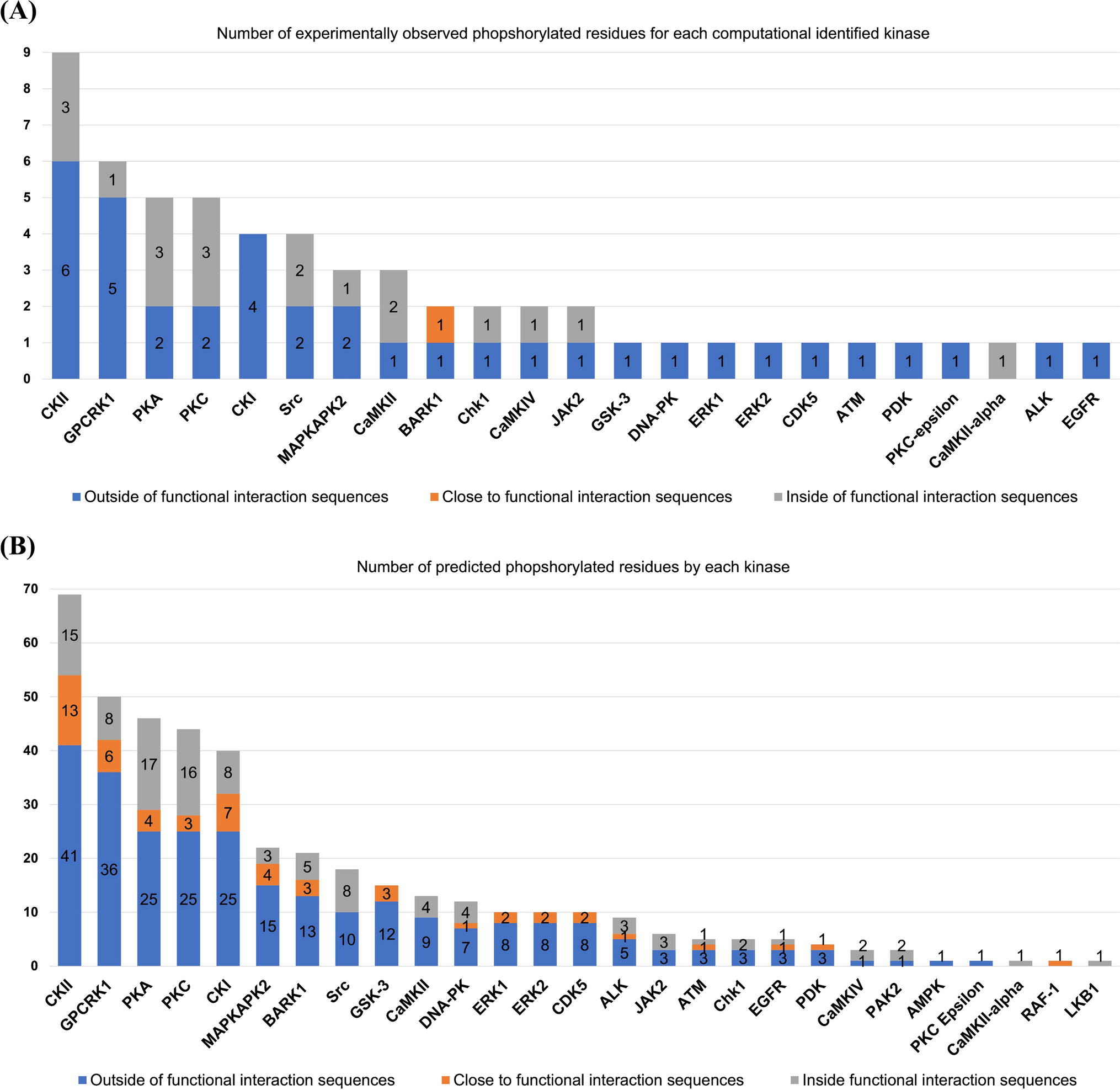 Phosphorylation mapping of laminin γ1-chain: Kinases, functional interaction sequences, and phosphorylation-interfering cancer mutations