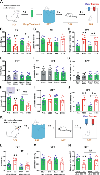 Endocannabinoid interference blocks post-global cerebral ischemia depression through prefrontal cortico-amygdala projections