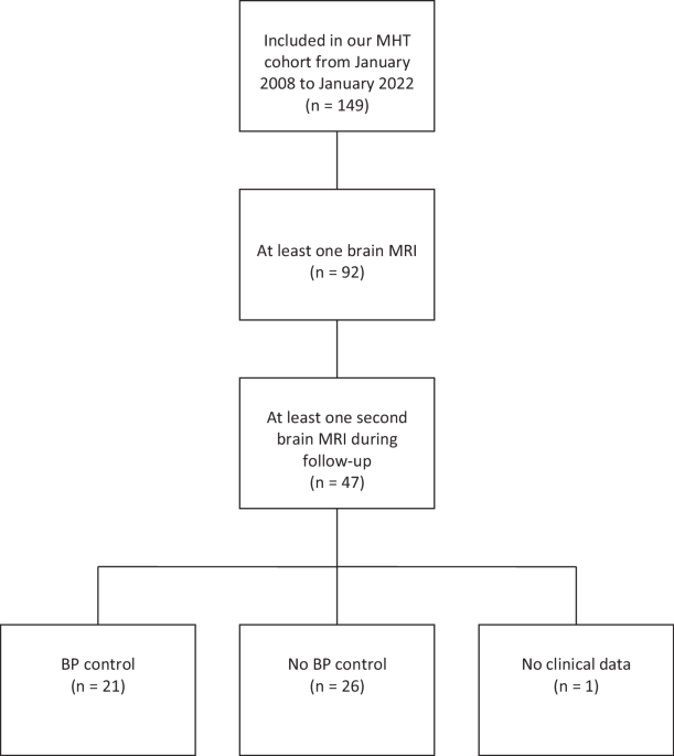 Course of brain damage following malignant hypertension