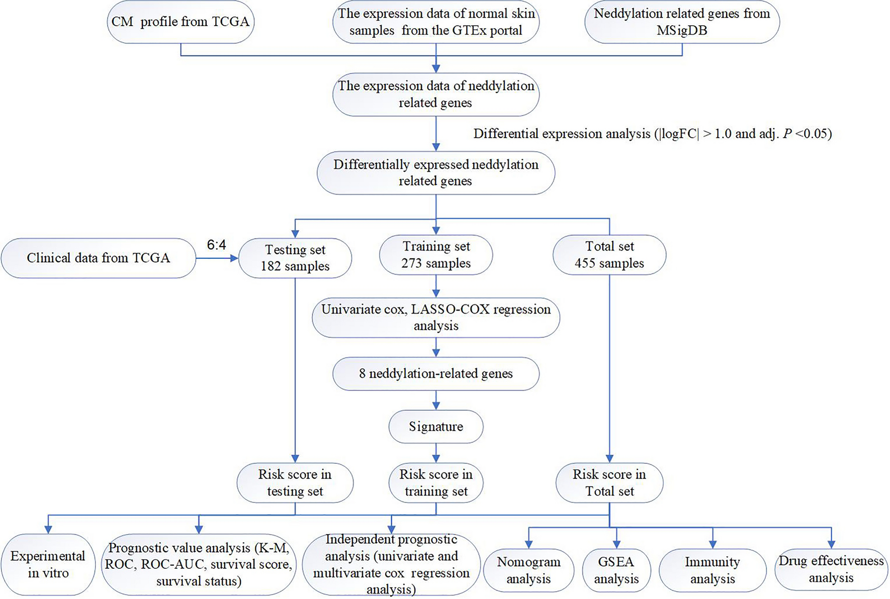 Comprehensive characterization of neddylation related genes in cutaneous melanoma identified a novel prognostic signature for treatment outcomes, immune landscape