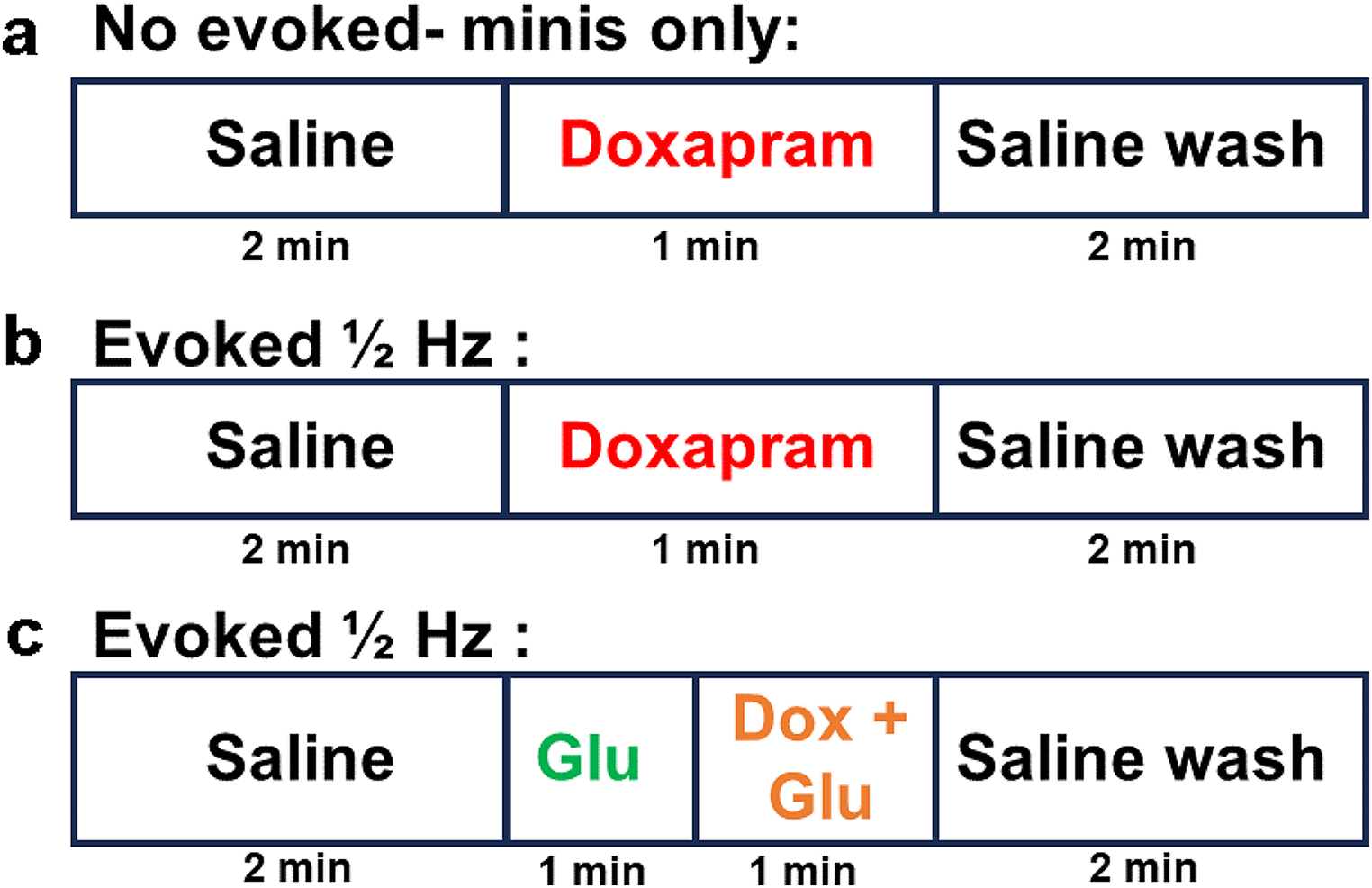 The effects of doxapram and its potential interactions with K2P channels in experimental model preparations