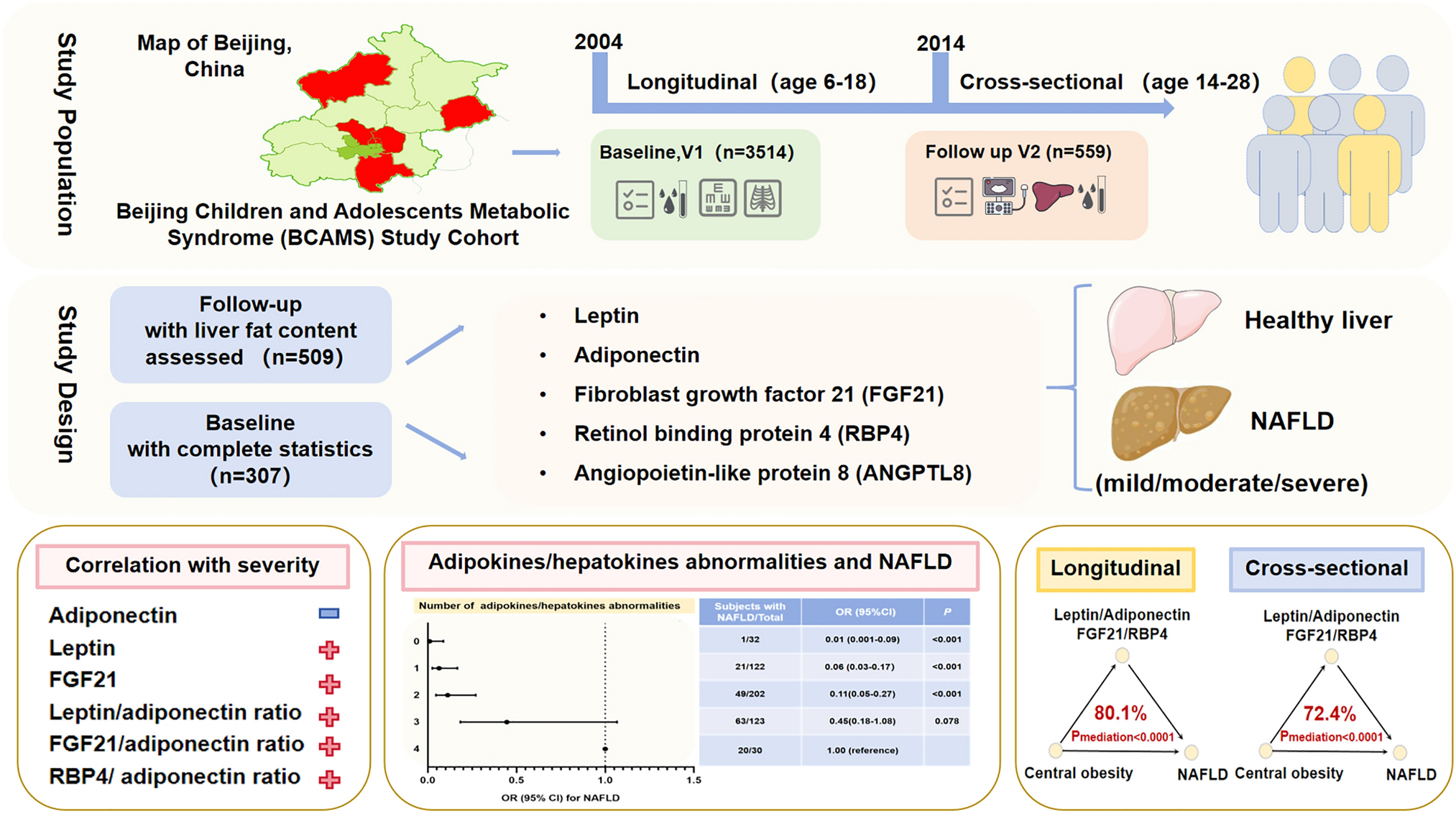 Adipokine/hepatokines profiling of fatty liver in adolescents and young adults: cross-sectional and prospective analyses of the BCAMS study